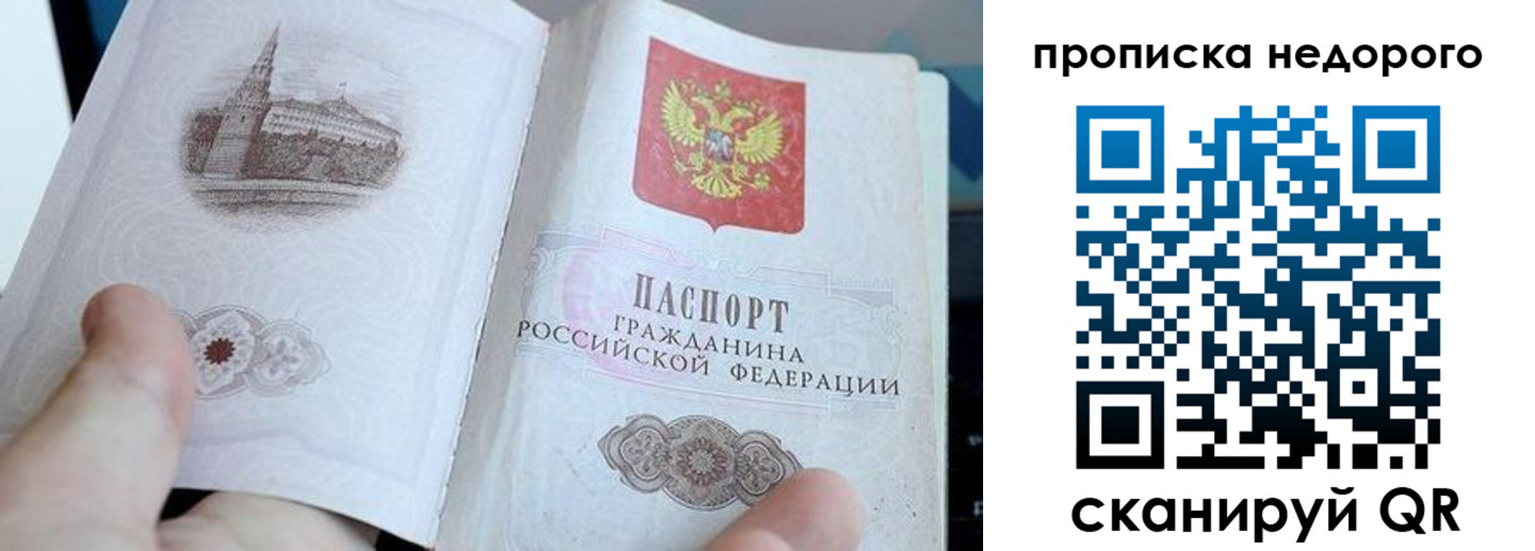 пропишу в квартире в Орехово-Зуево